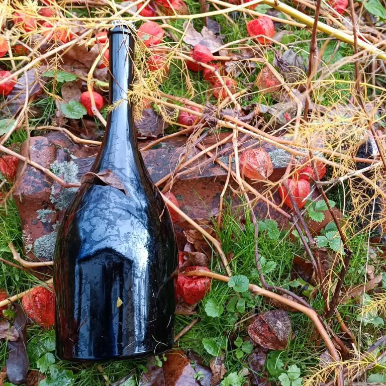 Zahvaljujući EU4AGRI I EU4AGRI Recovery hiljade korisnika unaprijedilo svoje biznise