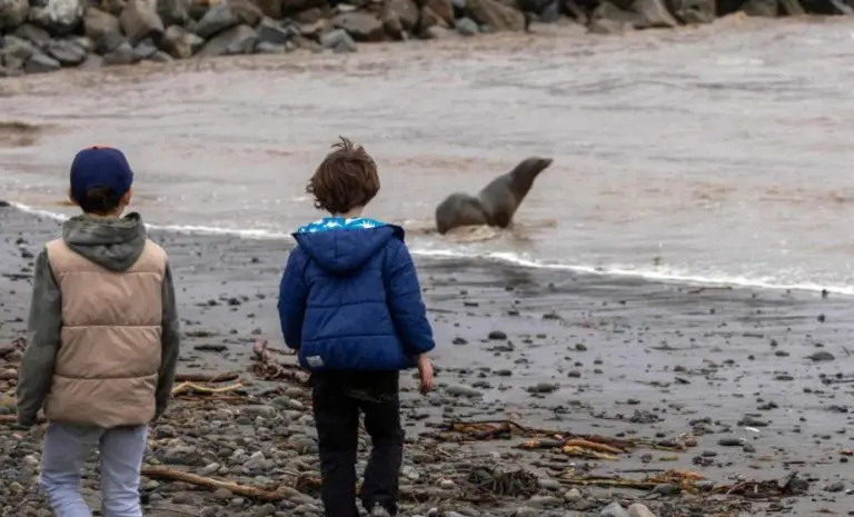 Tokom rata dva dječaka iz Sarajeva su usvojena pored majke koja ih se nije odrekla; 26 godina ih je tražila, sve dok…