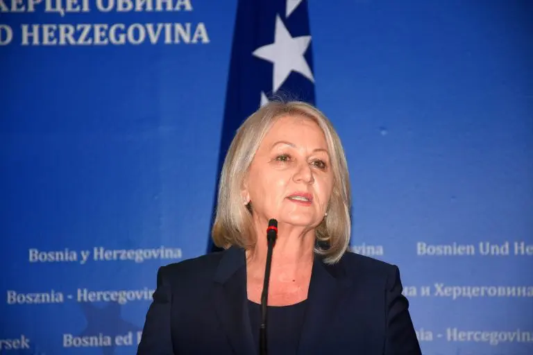 Krišto nakon sastanka s Orbanom: Želimo unaprijediti odnose s Mađarskom