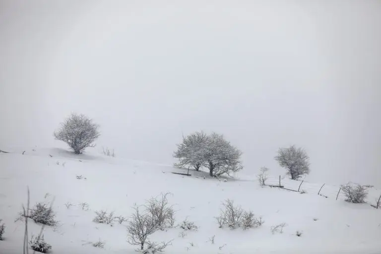 Stiže snijeg u BiH, evo kada će zabijeliti