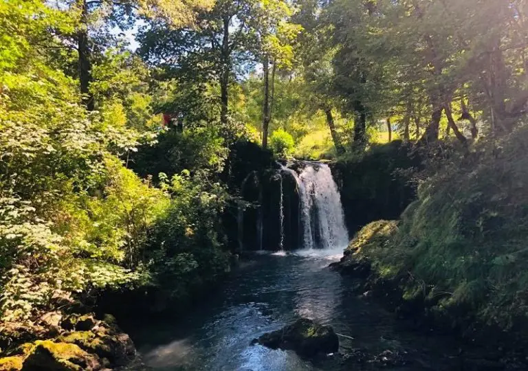 “Mi imamo pet rijeka u Šipovu. Tih pet rijeka teče bezveze i niko od njih koristi nema”