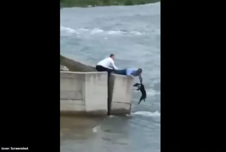 KAKAV GEST Izašao sa svadbe da spasi psa iz nabujale rijeke Lim (VIDEO)
