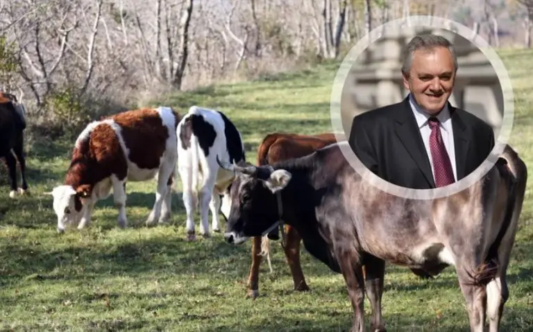 Pao još jedan HDZ-ovac. Ovaj je trovao konkurentima krave