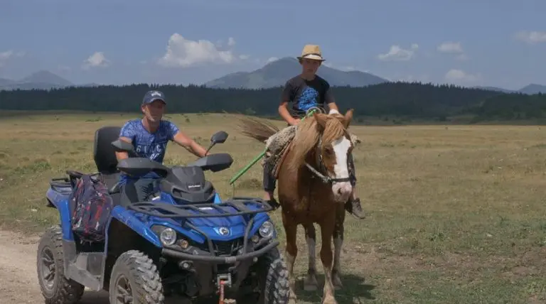 Otac i sin čuvaju najviše krava u BiH, otkrili su koliko zarađuju
