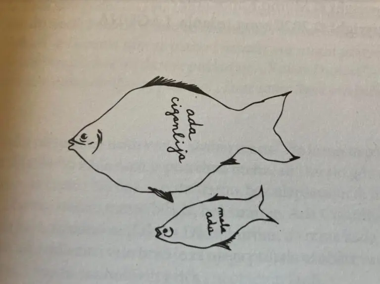 Oguman: Ada Ciganlija