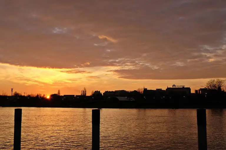 Dani Rodrik: Budućnost globalizacije