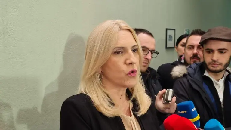 Evropska perspektiva BiH prilično mračna! Opredijeljeni smo za EU, ali vidjećemo