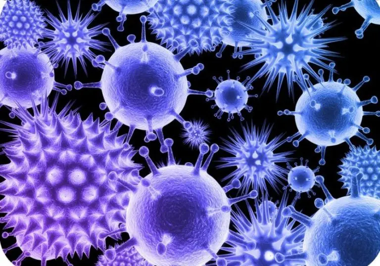 Revolucija u nauci: AI stvorio nove viruse, zaraznije od prirodnih