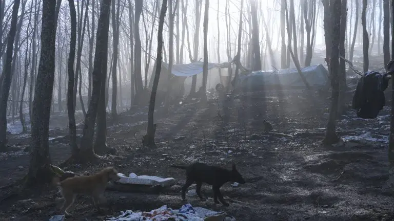 Program 17. izdanja Pravo Ljudski Film Festivala