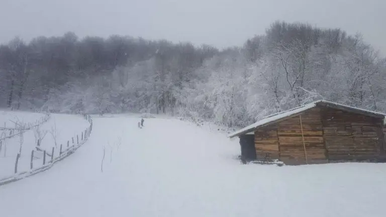 Meteorolog otkrio kojeg datuma u BiH stiže zahlađenje i snijeg