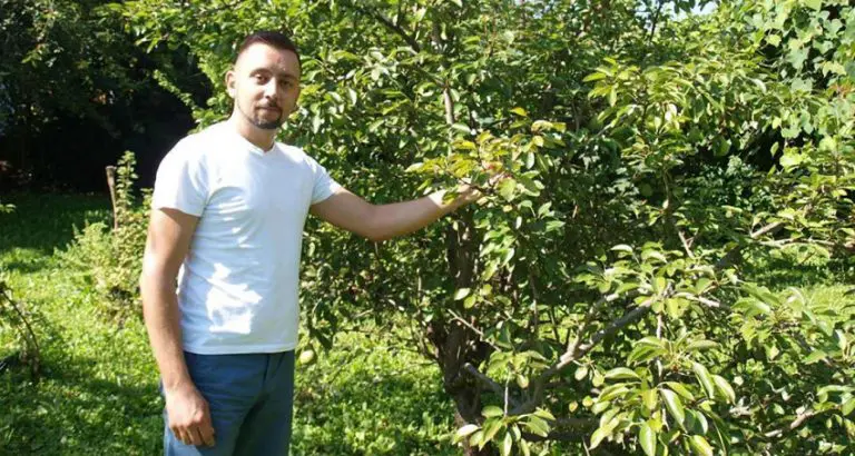 Agronom iz Gradiške na svom imanju dokazao: Poljoprivreda bez pesticida – da moguće je!