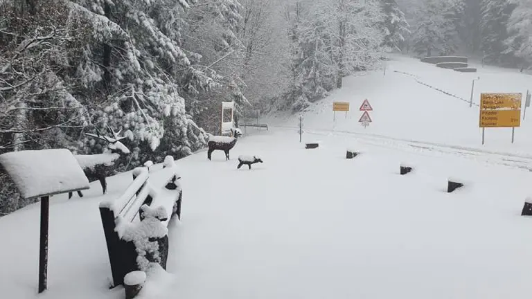 Na bh. planinama snijeg (FOTO)