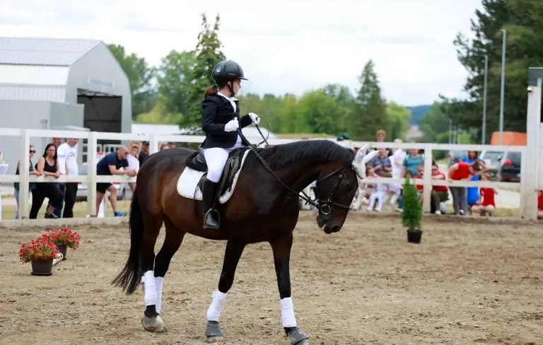 Upoznajte Kvika, jedinog terapeutskog konja u RS kojeg djeca obožavaju
