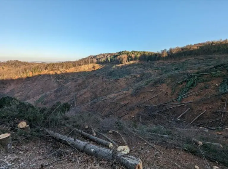 “Čuvari” državne imovine pretvaraju zaštićene šume u deponije jalovine!