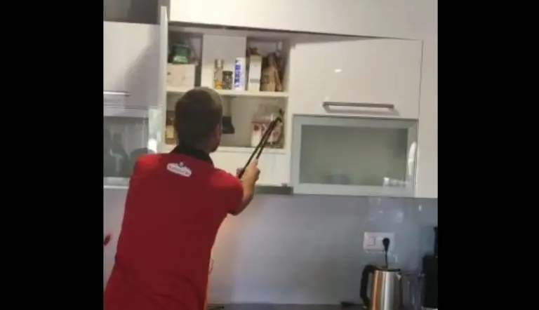 Hercegovina: Zatekla zmiju u kuhinji pa u panici istrčala, gmizavca iznijele komšije FOTO