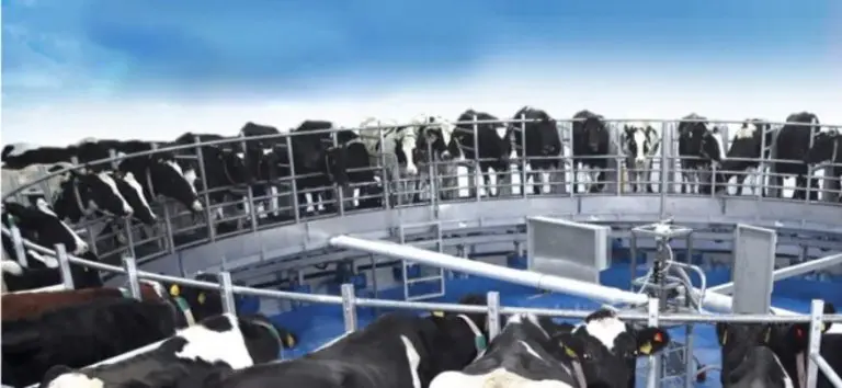 Reuters piše o farmi iz BiH: Proizvode struju iz organskog otpada