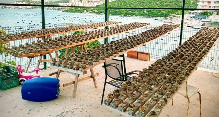 Unosan biznis vatrogasca iz Neuma: Jedan komad vrijedi 1,5 KM VIDEO