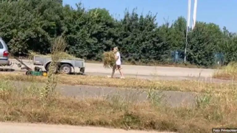 Otac i kćerka došli na godišnji odmor u BiH pa kosili travu oko graničnog prelaza Rača (VIDEO)
