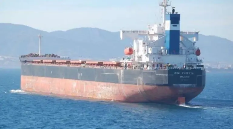 Ukrajina: Šta se dešava sa transportom žita?