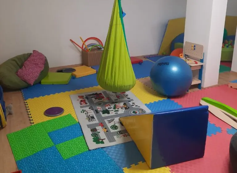 Zbog političkih trzavica i neusvajanja budžeta zatvoren dnevni centar udruženja „Colibri”