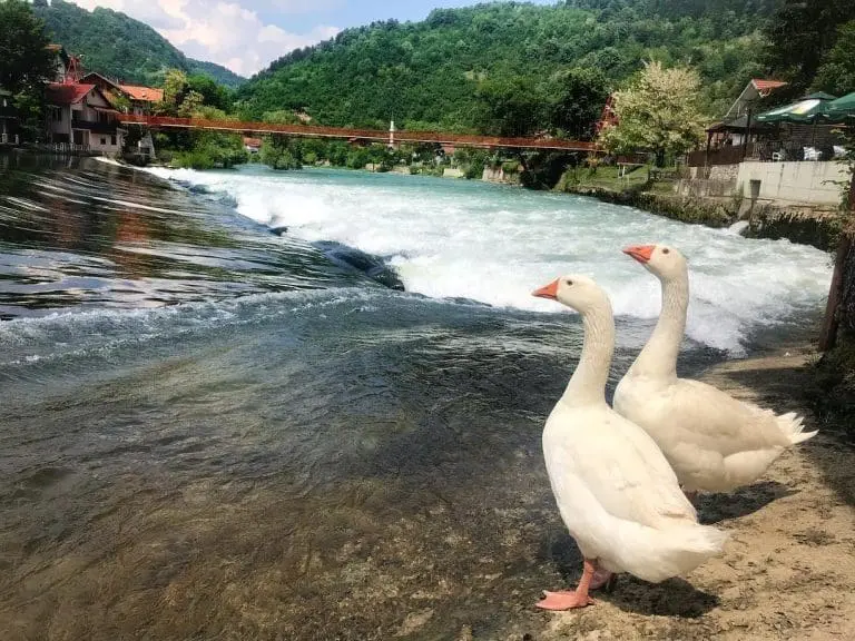 Priroda Bosne i Hercegovine žrtva političkih podjela imovine: U raspravi o rijeci, gledaj na to kao rijeka
