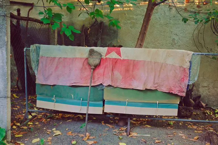 Saša Ilić:  Ekonomija zločina