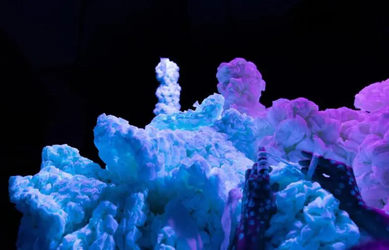 Imagine izložba “Koralni greben. Regenerativni dizajn”  d 5. oktobra u Sarajevu