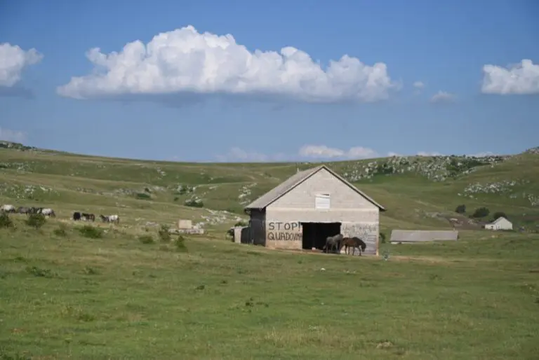 Nepopravljiva šteta