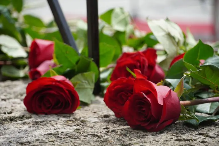 Beograd: Odgođena komemoracija nastradalima u OŠ “Vladislav Ribnikar”