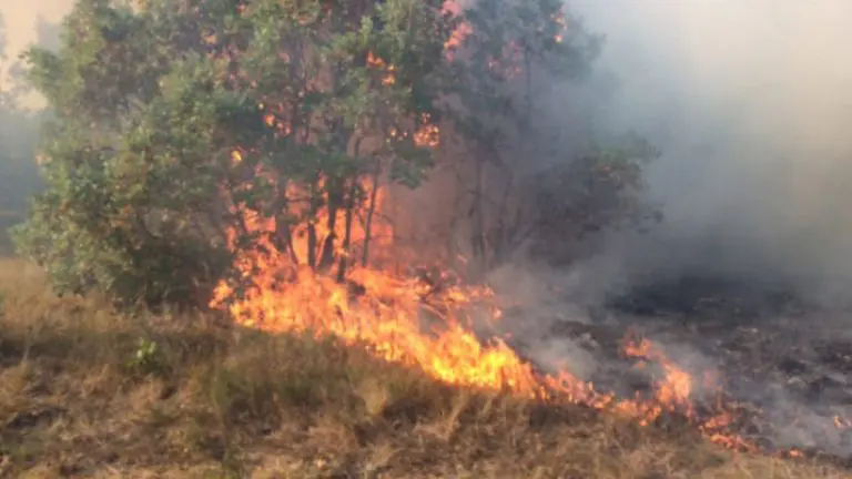 U požarima najviše stradavaju životinje, a u devedeset posto slučajeva uzrok je čovjek