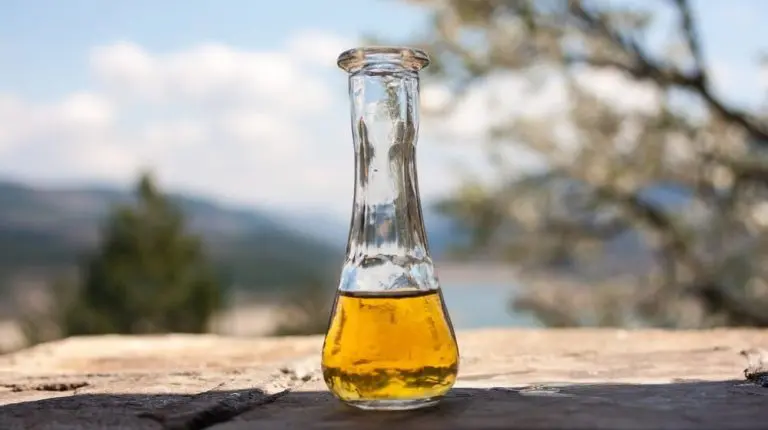 Šljivovica uvrštena na Uneskovu listu nematerijalnog kulturnog nasleđa čovečanstva