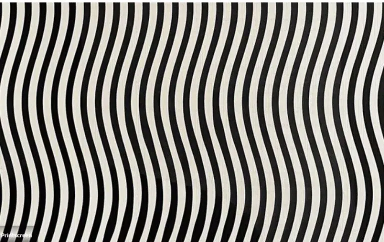 Test inteligencije: Samo ljudi s visokim IQ-om mogu vidjeti šta je na slici