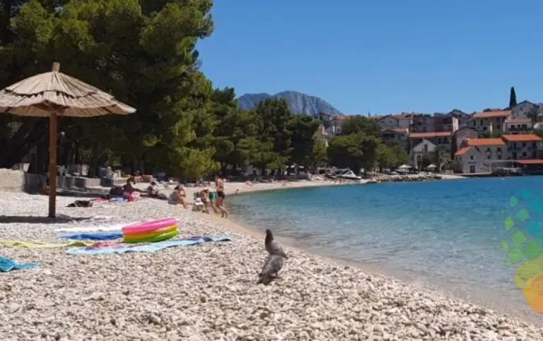 Kreća gradnja ceste kojom ćemo brže stizati do Makarske