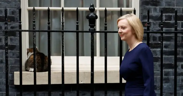 Mačak koji radi za britansku premijerku ima više pratilaca na Twitteru od nje