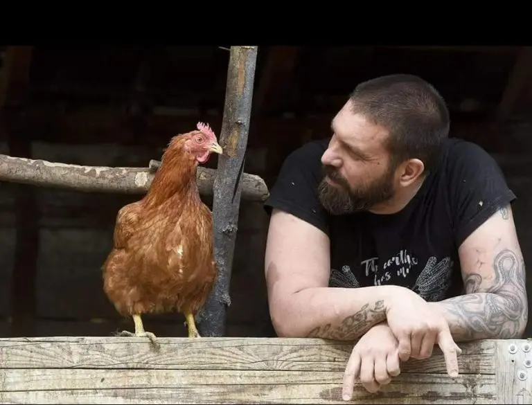 Nikola je napustio velegrad i već 9 godina živi svoj san na Papuku: “Svu hranu dobijamo s vlastite farme”