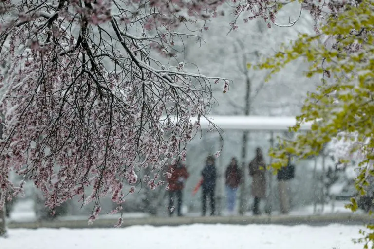 Snijeg u Sarajevu (FOTO)