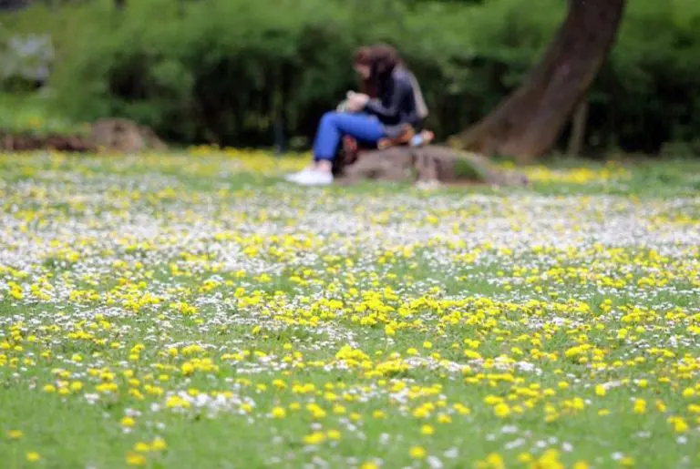 Objavljena prognoza za proljeće koje nas očekuje