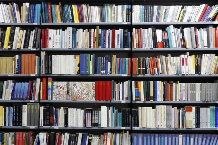 Evo koliko knjiga građani BiH pročitaju na godišnjem nivou