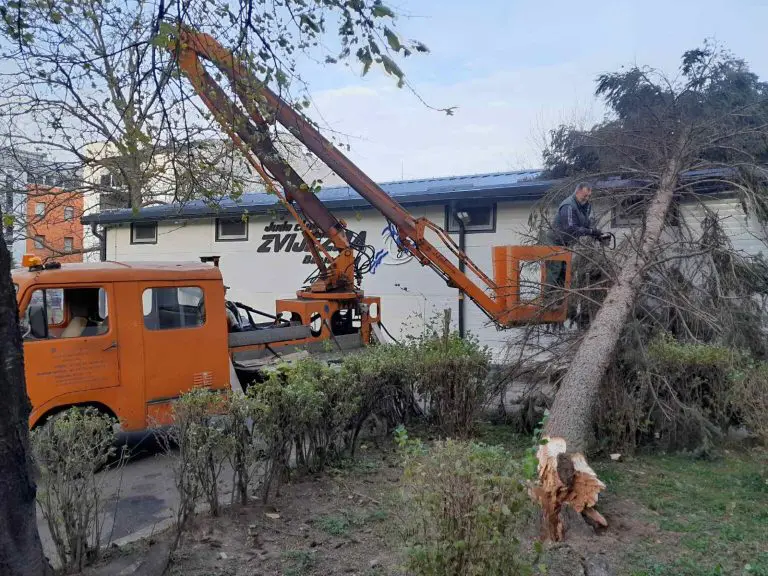 Vjetar obarao drveće u Banjaluci, izdato upozorenje