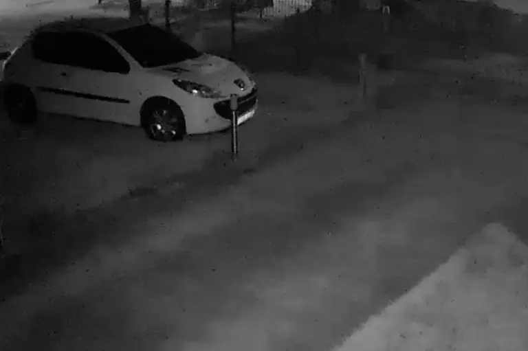 Bihać: Medvjed na kapiji porodične kuće (VIDEO)