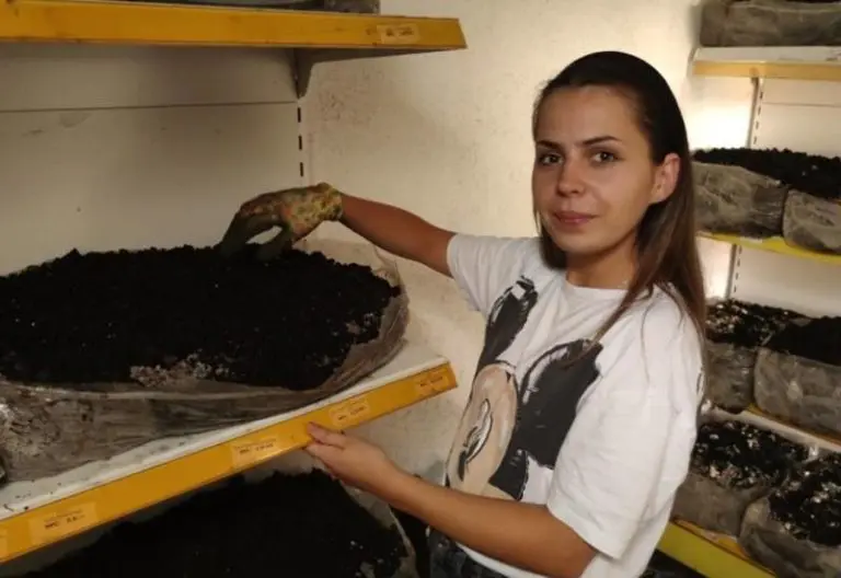 Ana se iz Austrije vratila u BiH i pokrenula uspješan posao: Proizvodnja mi je puno manja od potražnje