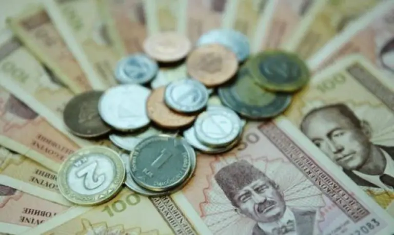 Visoki porezi i doprinosi u FBiH doveli su do niskih plata radnika i rekordnih budžeta kojim se vlasti hvale