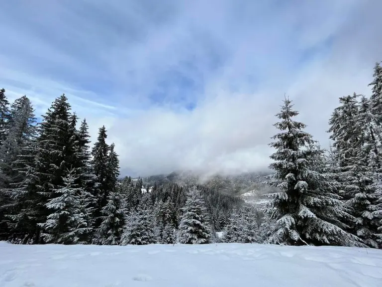 Vremenska prognoza u BiH do četvrtka