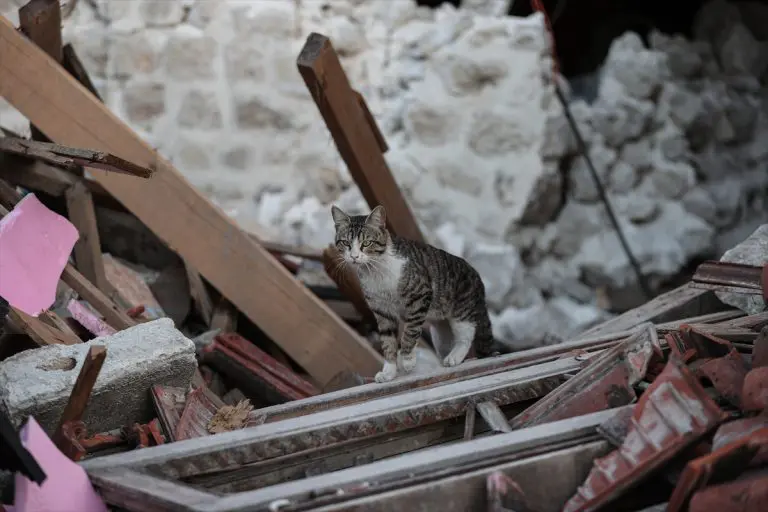 “Obećanje, ludom radovanje” Ni dvije godine nakon razornog zemljotresa u Srpskoj nisu riješeni problemi građana