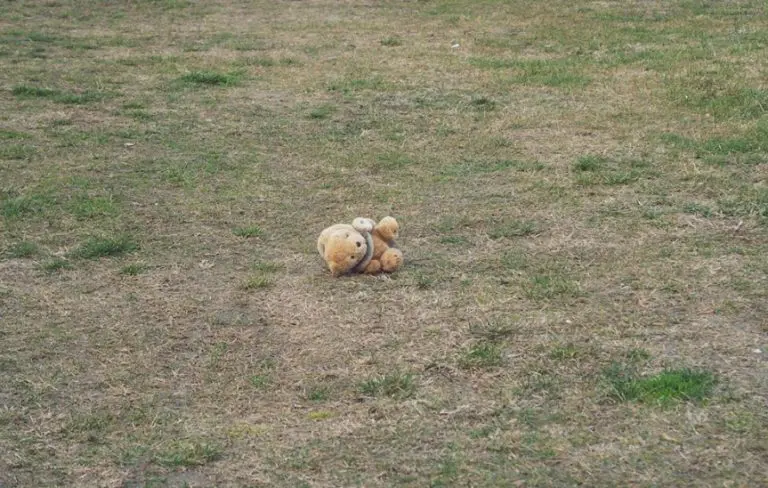 Gideon Levy: Problem je izraelska levica