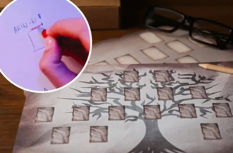 Građani danima pokušavaju riješiti misteriju: Ko je Akine matere čoek?