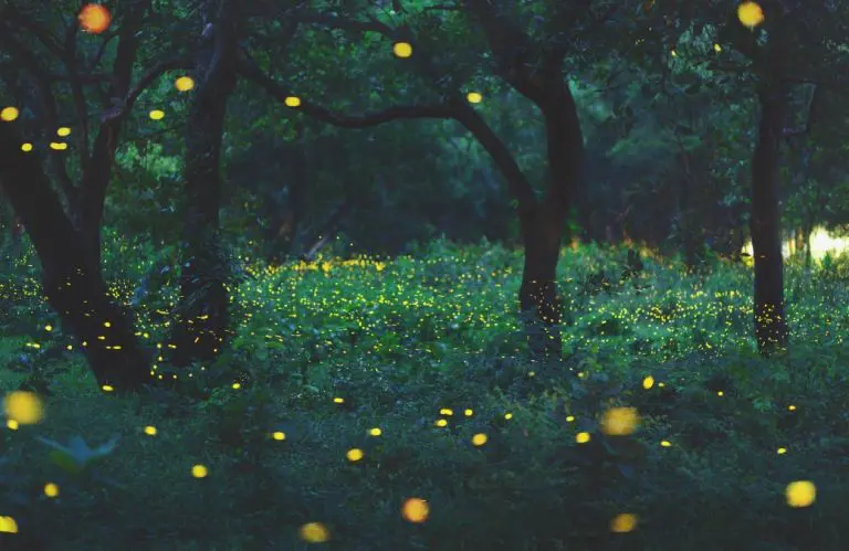 VIDEO Svici su “ugasili” i za to su krivi ljudi