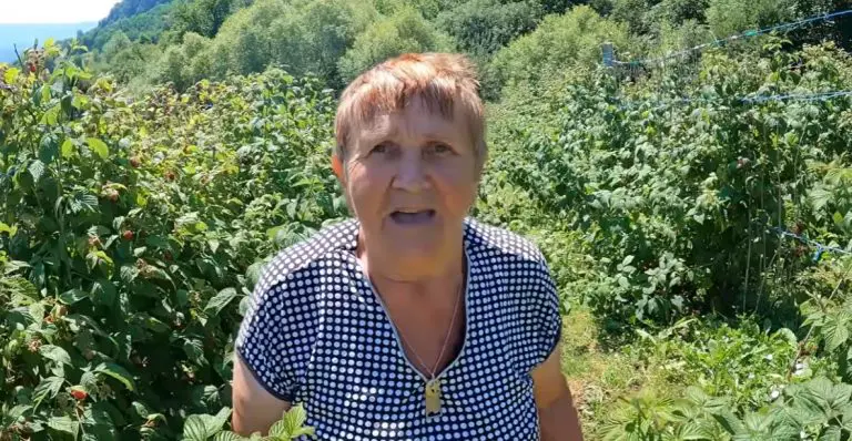 Svaki dan u malinjaku zaradi mjesečnu penziju VIDEO