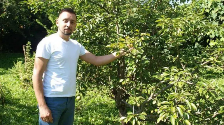 „Svakodnevno jedemo, pijemo i udišemo otrove. Ovo je jedino rješenje…“