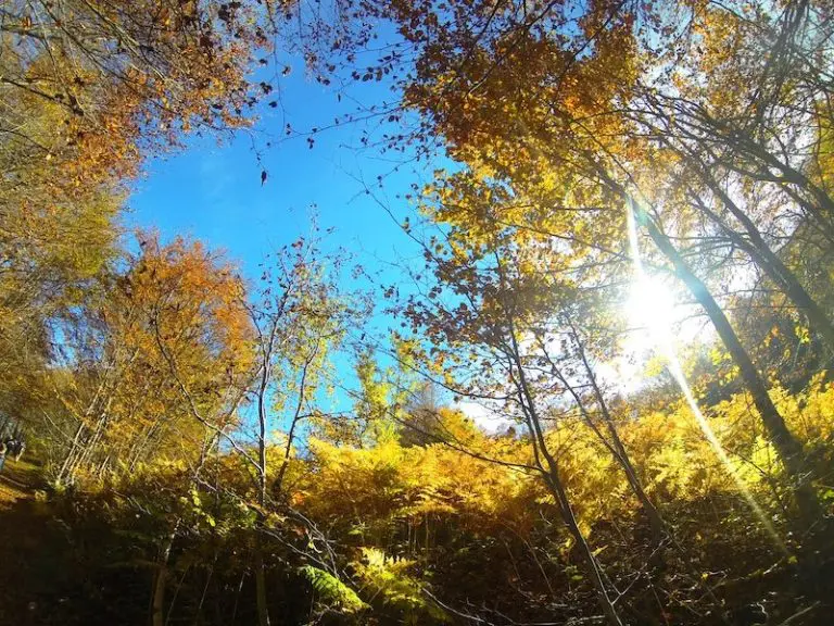 Najzdravije države za život: Na četvrtom mjestu komšije